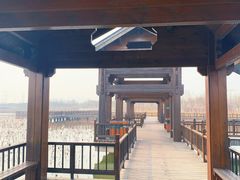 -天津东丽湖风景区