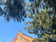 -颐和园