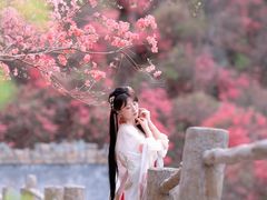 -木兰云雾山