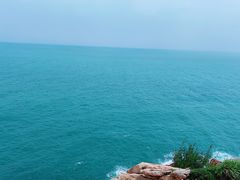 -广东惠东海龟国家级自然保护区