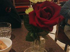 -ELI FALAFEL Lebanese&Mediterranean黎巴嫩美食(富城路店)