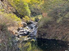 -云岫谷游猎自然风景区
