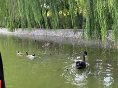 -南翠屏公园