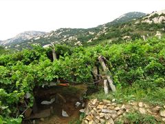 -大泽山风景名胜区