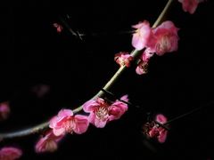 -四川北路(地铁站)