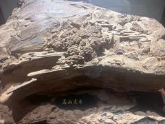 -曲水兰亭(北京四惠店)