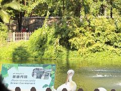 -深圳野生动物园