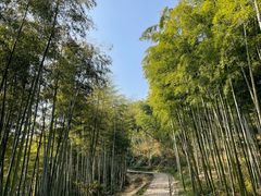 -径山寺