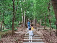 -中山市树木园