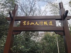 -紫金山山顶公园
