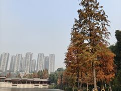 -重庆彩云湖湿地公园