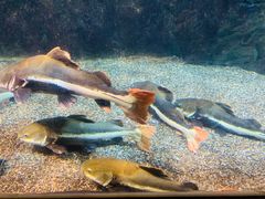 -太平洋海底世界