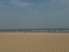 -日照海滨国家森林公园