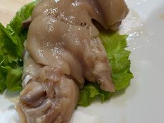 -丁老爷子苏香圆