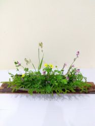 -今日陶艺(富力广场店)