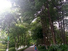 -怡海公园(桂城街道)