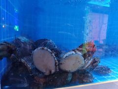 -花西亭·海鲜自助餐厅(瑞城名人酒店)