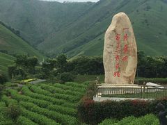 -帐篷客·溪龙茶谷度假酒店