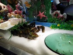 -加餐海鲜自助(宝龙一城店)