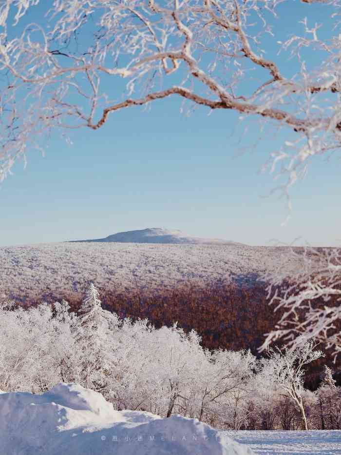 大秃顶子山