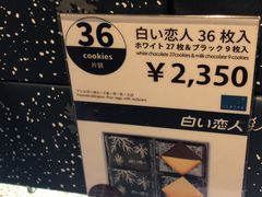 -中部国际机场