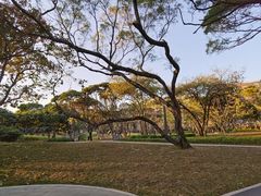 -四海公园(南山区)