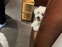 -马王堆汉墓遗址