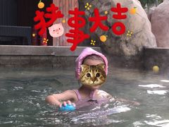 -裕龙汤泉