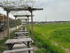 -嘉北郊野公园