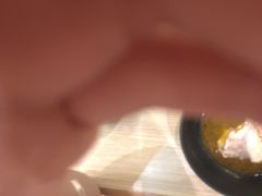 -瑞鹏宠物医院华南总院·夜诊·心脏科·骨科