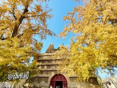 -北京石刻艺术博物馆(五塔寺)