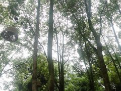 -洪湖家庭农场·团建·露营·会议
