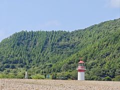 -花岙岛