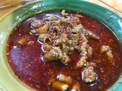 -高记什邡肖麻辣(成都店)