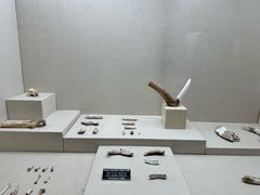 -安塔利亚博物馆