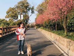 -杭州半山国家森林公园