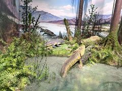 -国家自然博物馆