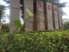 -大屏嶂森林公园