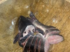 -云中鱼蒸汽石锅鱼(川沙百联店)