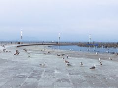 -东港音乐喷泉广场