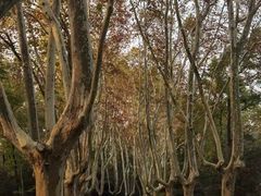 -南京维景国际大酒店(南京博物院店)