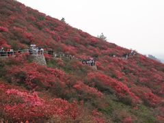 -木兰云雾山