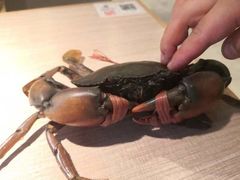 -川味里•商务宴请•团建聚餐(清湖店)