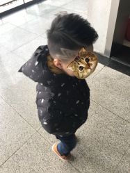 -星童star.kids儿童发型设计·满月胎发(玉兰花园店)