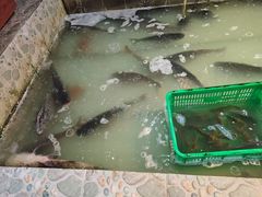 -鱼窝棚柴火铁锅炖(富山屯店)