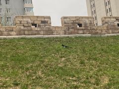 -元大都城垣遗址公园