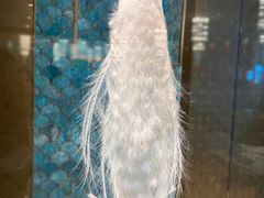 -孔雀云贵川·融合菜(长宁来福士店)