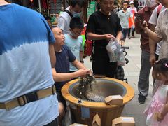 -黄龙溪古镇