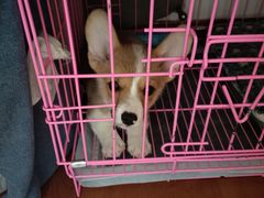 -美迦爱-牙专科·兔科·骨科诊疗中心(北苑店)