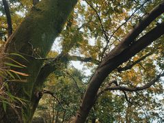 -终南山南五台景区